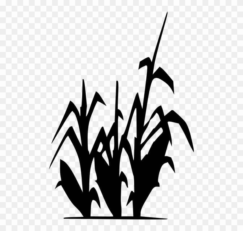 Korn Clipart Vector - Clipart Black And White Corn Stalks - Png Download