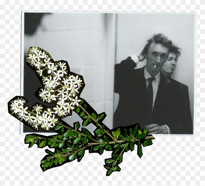 Never Getting To Touch Someone Again Is A Big Thing - Floral Design Clipart #3556870