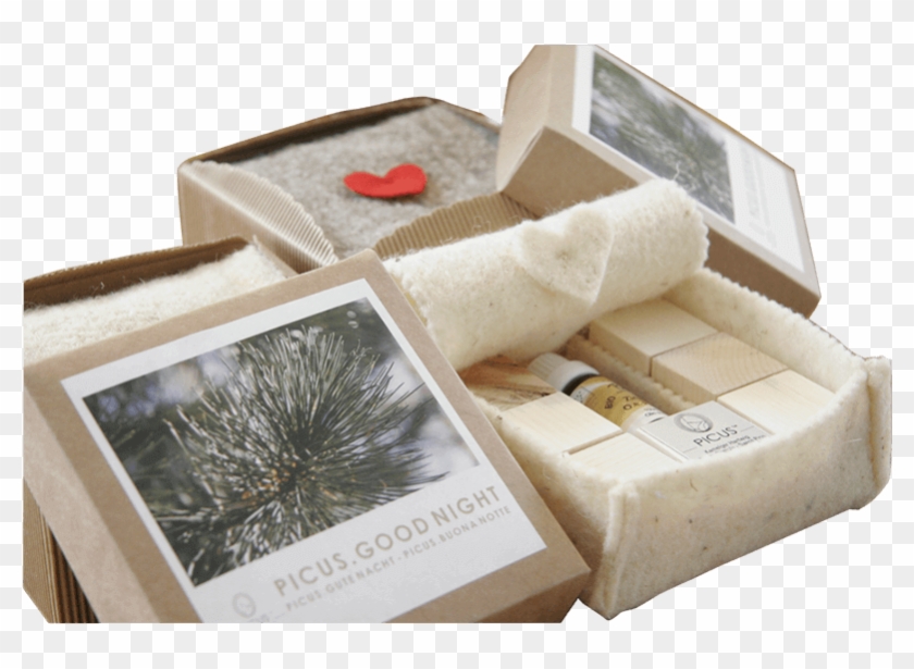 Sea Urchin Clipart #3556990