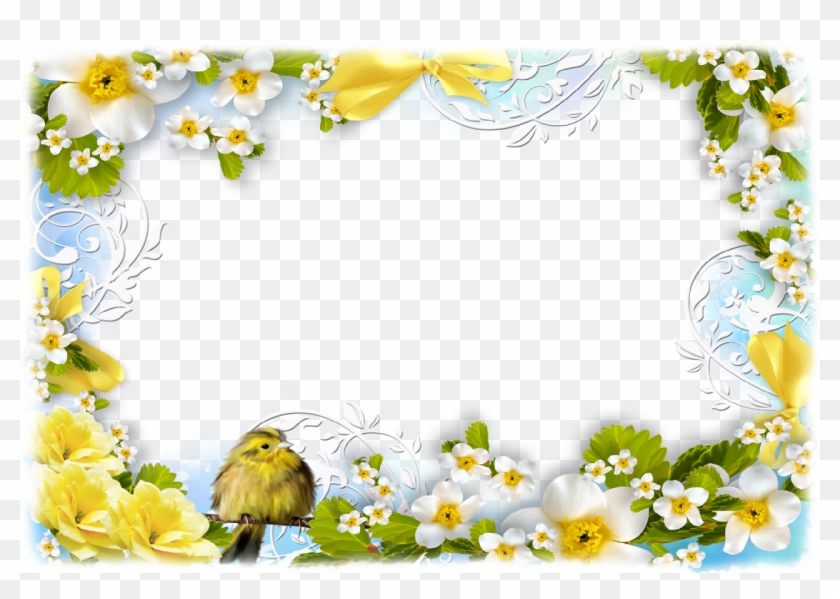 Flowers And Birds - Flower Spring Clipart Border - Png Download #3557094