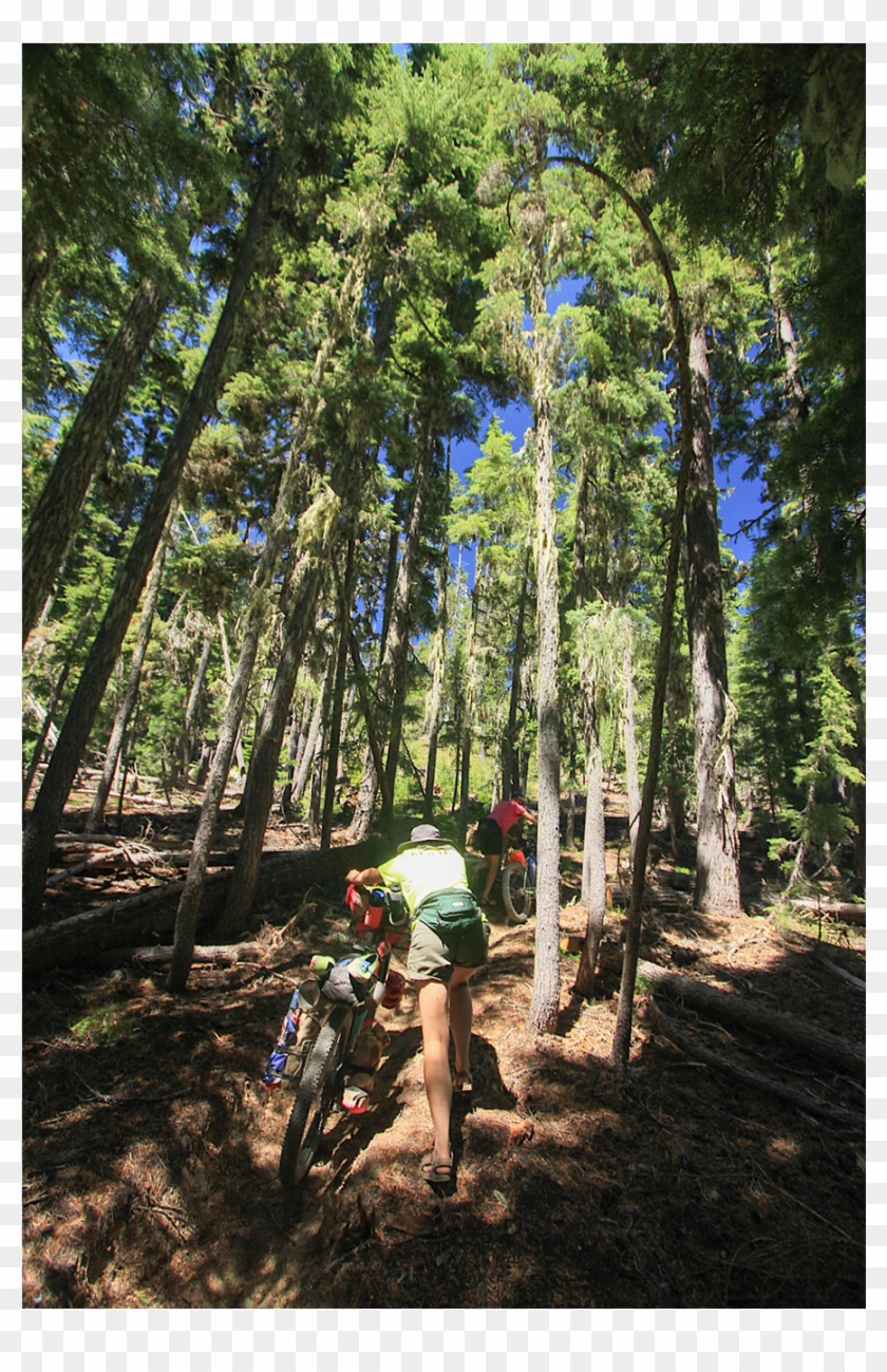 International Kook Exchange Program Clipart #3557601