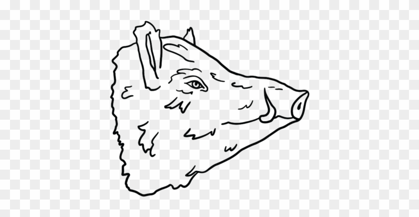 Pig Heads 03 - Sketch Clipart