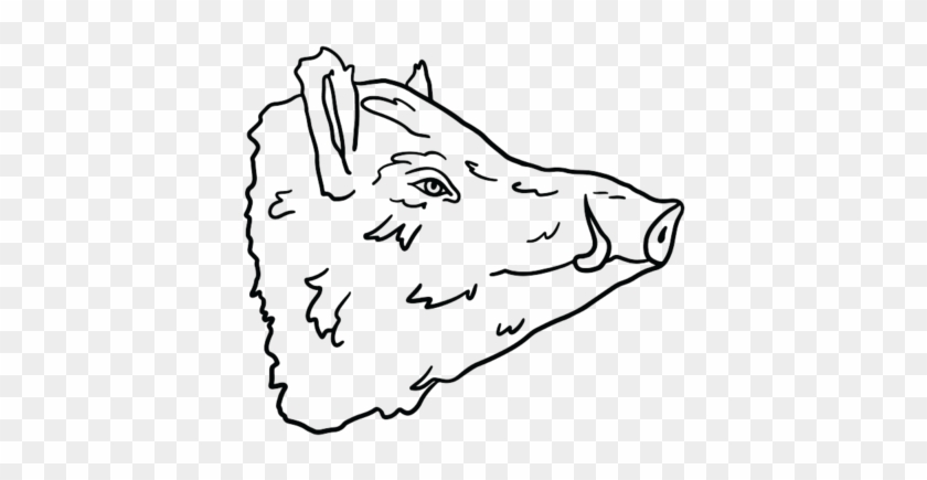 Pig Heads 03 - Sketch Clipart #3558453