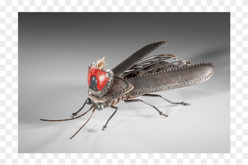 House Fly Clipart #3558905