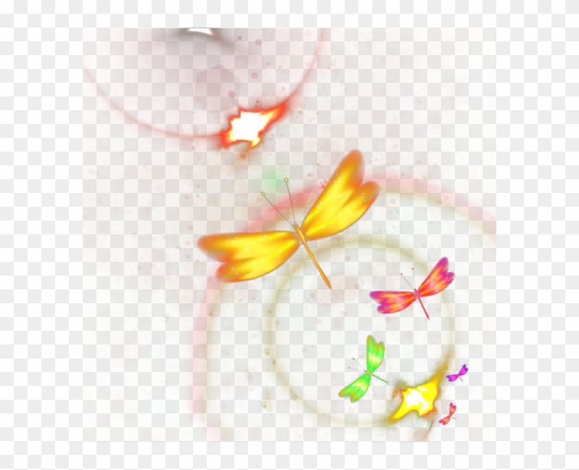 #mq #firefly #insect #rainbow #glow #flying #smoke - Macro Photography Clipart