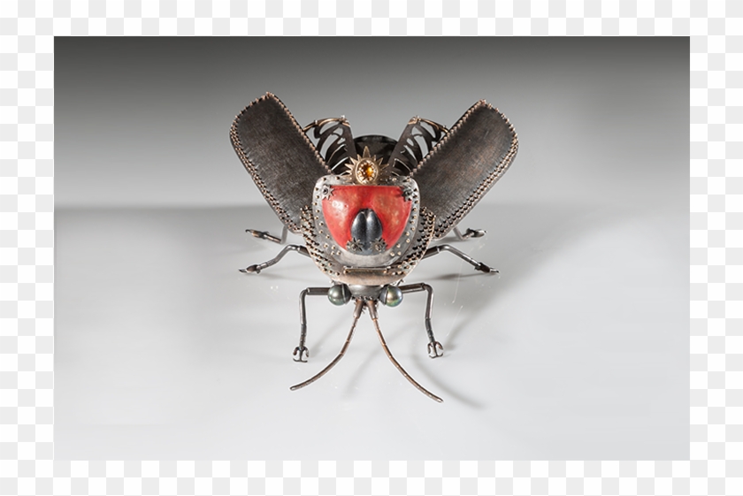 House Fly Clipart #3559009