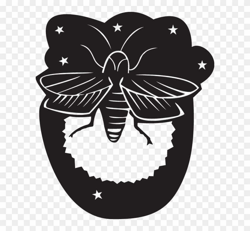 Decal Options - - Firefly Clip Art - Png Download
