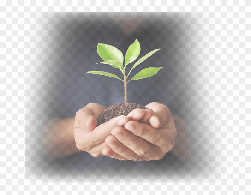 Social Giving Begins Here - Những Câu Nói Hay Về Cây Xanh Clipart #3561825