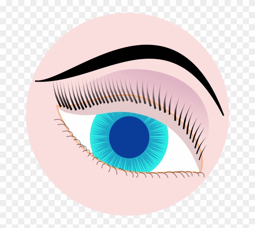 Drawing Eyelashes Real Eye - Iris Senza Copyright Vector Clipart #3562512