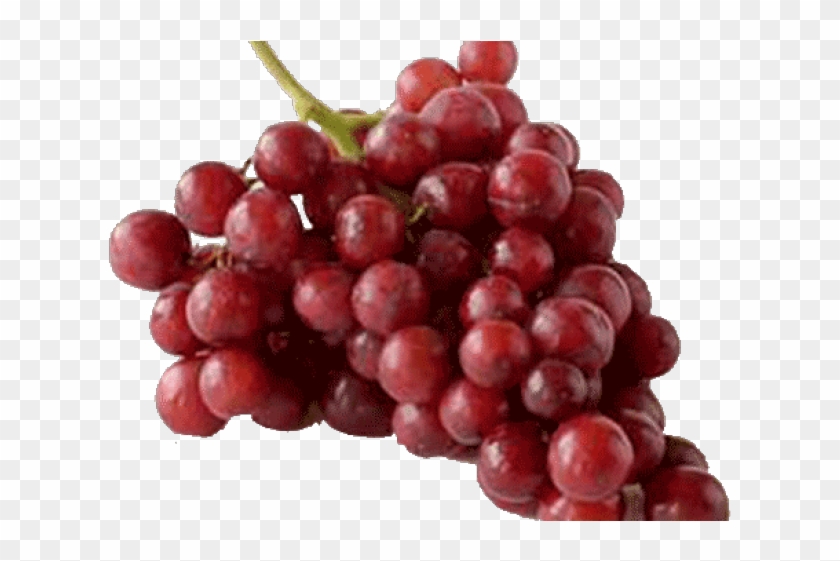 Apple Mango Banana Orange Grapes Clipart