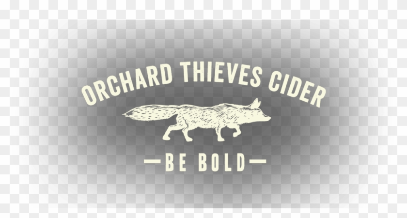 Our Story - Greyn Anatomia Clipart