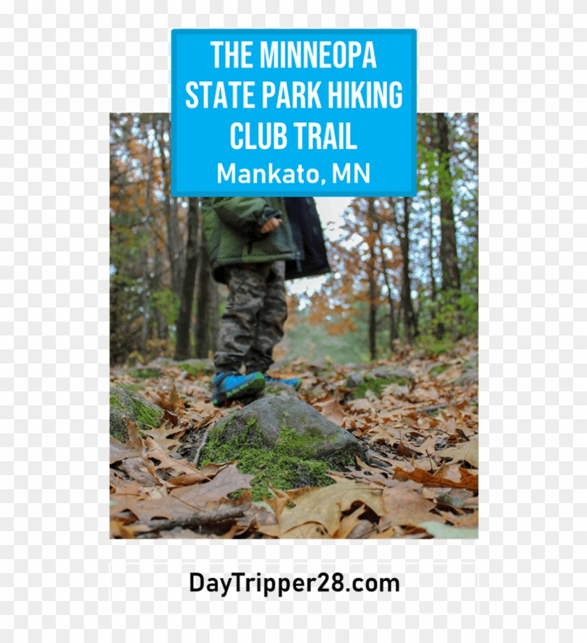 Ventured Out To Minneopa State Parks Hiking Club Trail - Poster Clipart #3565236
