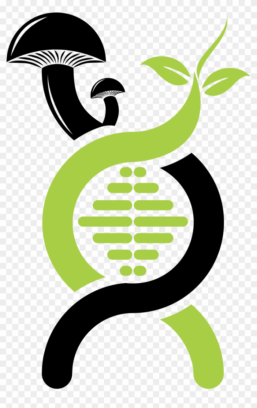 Donate - Illustration Clipart