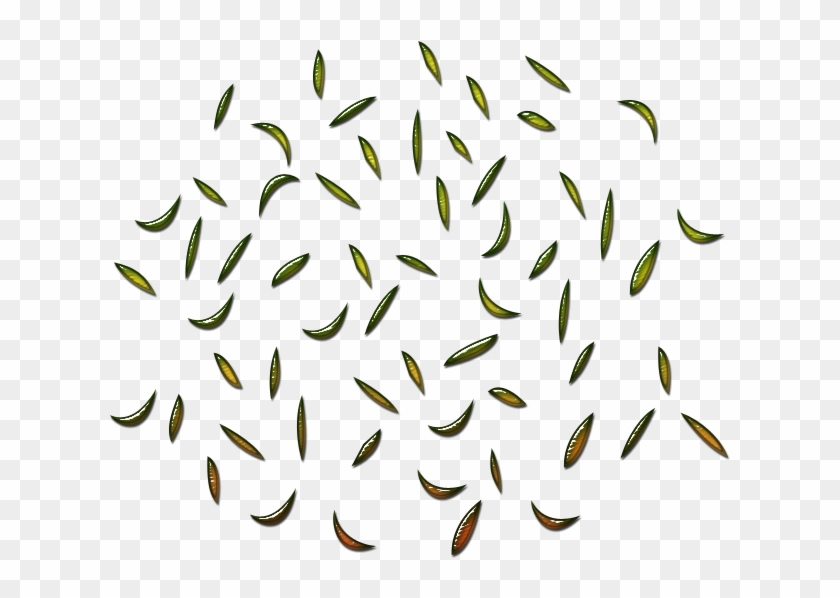 Splatters 700 X - Calligraphy Clipart