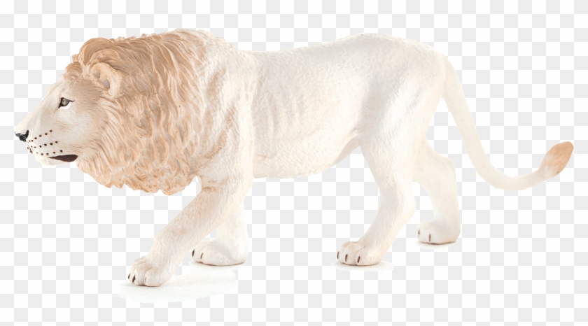 Lion Clipart #3569074