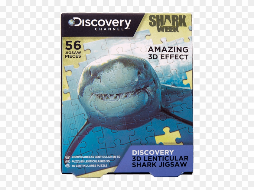 Puzzle - Great White Shark Clipart #3569108