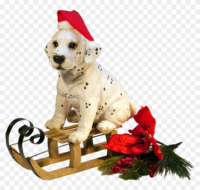 Free Png Download Christmas Dog Png Images Background - Christmas Dog Png Clipart
