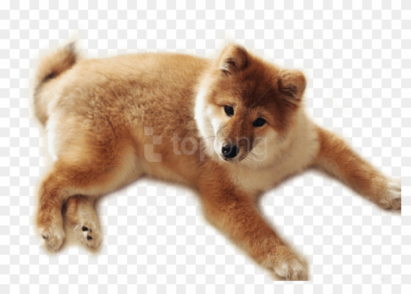 Free Png Images - Well Do You Know Me Questions Clipart