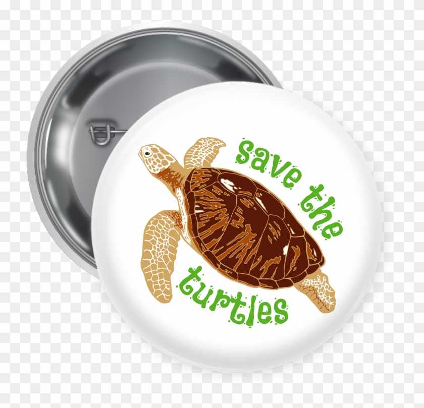 Box Turtle Clipart