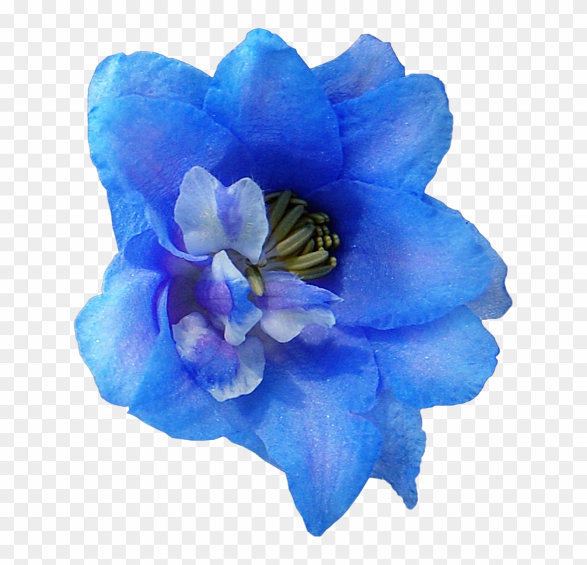 Delphinium Drawing Violet Flower - Artificial Flower Clipart