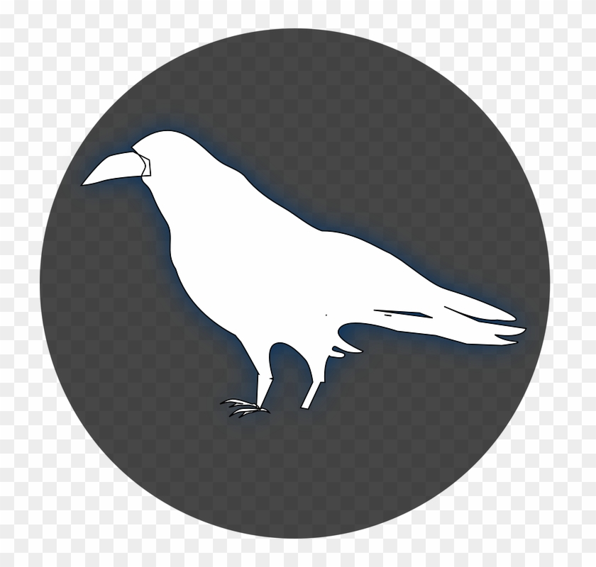 White Raven Clipart - Png Download #3574792