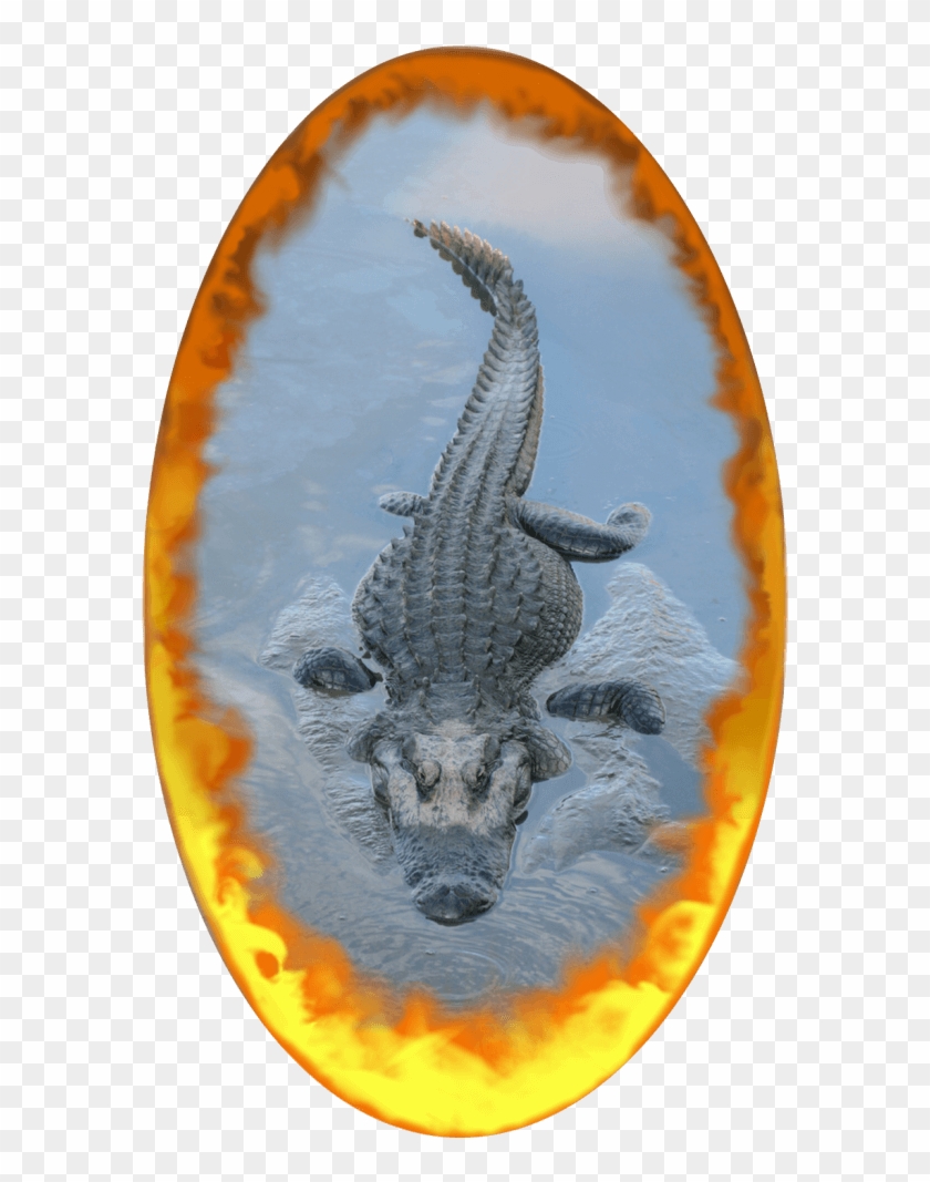Custom Portal Wall Posters - Alligators Clipart