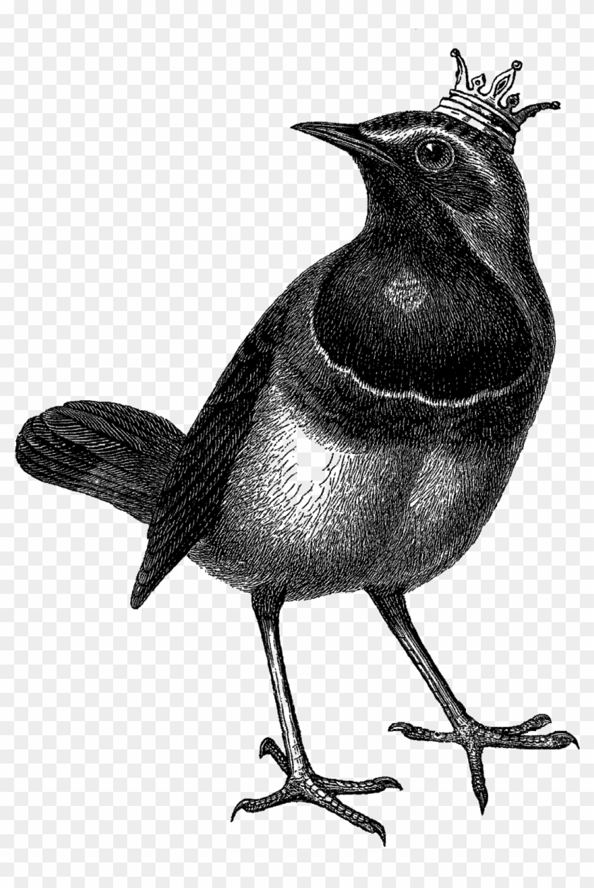 The Second Digital Bird Clipart Is Of The Bird Wearing - Clip Art - Png Download