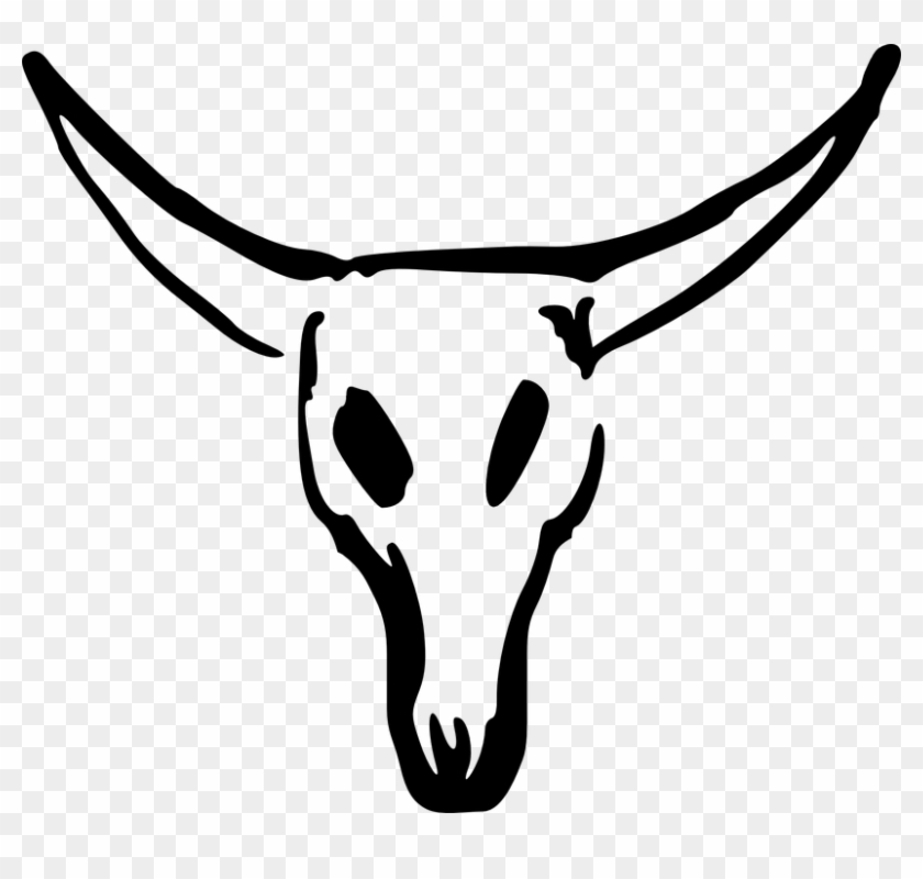 Skull Cattle Free Vector Graphic On Pixabay - Cow Skull Drawing Easy Clipart