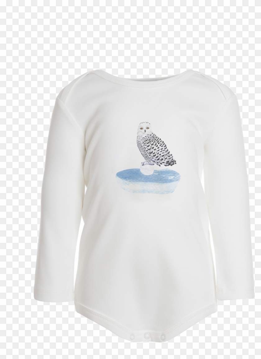 Ls Owl Body - Snowy Owl Clipart #3579493