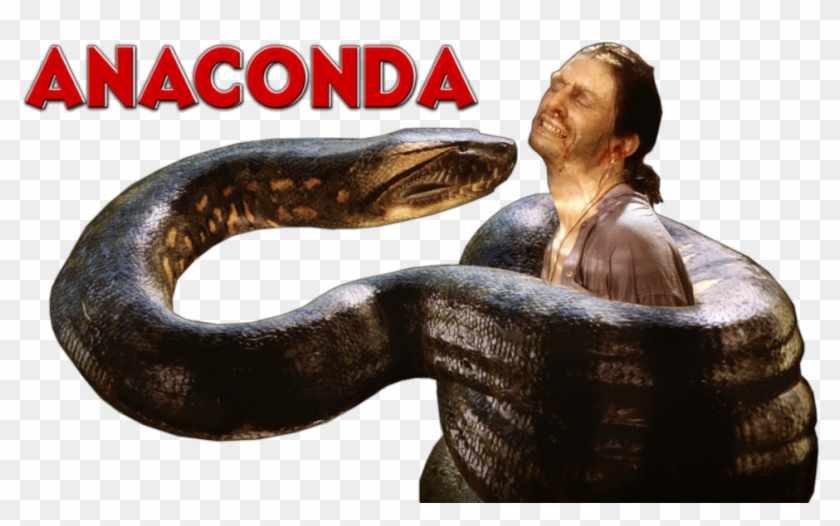 Anaconda-50966f585ef05 - Anaconda Png Clipart #3582296