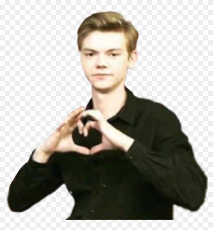 Thomasbrodiesangster Thomassangster Mazerunner Newt - Newt From Maze Runner Clipart #3582822