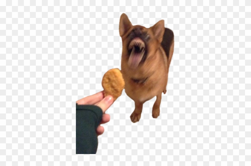 0 Replies 0 Retweets 0 Likes - Dog Biting Chicken Nugget Clipart