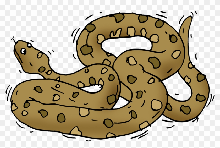 Anaconda - Serpent Clipart