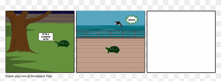 Turtle Eyes - Cartoon Clipart