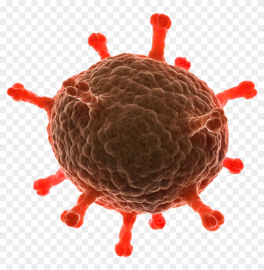 Disease Free Download Png - Disease Transparent Clipart