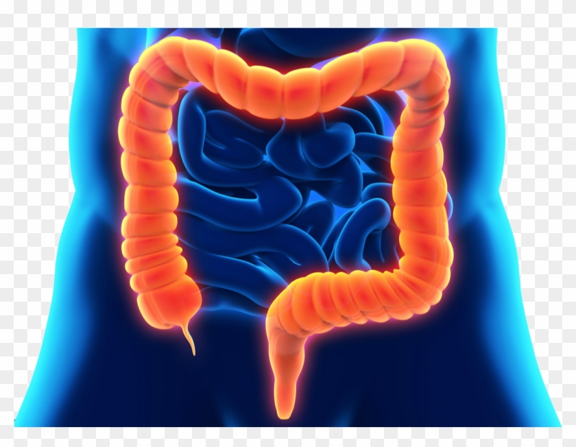 Inflammatory Bowel Disease Dr - Tocoma Colon Cleanser Review Clipart #3584847