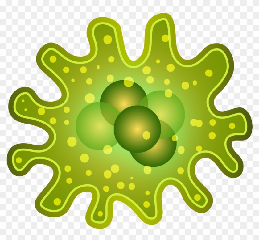 Smart Infectious Diseases For - Transparent Background Bacteria Transparent Clipart