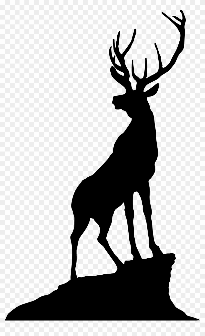 Forest Vector Silhouette At Getdrawings - Silhouette Clipart #3587613