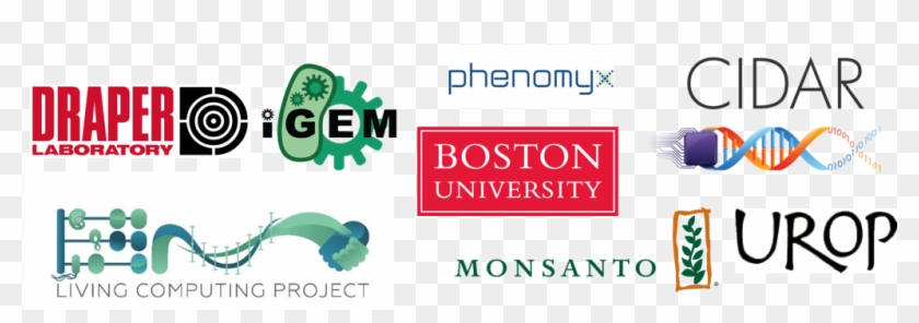 Thank You To Our Sponsors For Their Support - Graphic Design Clipart