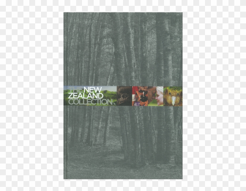 Book - Forest Clipart