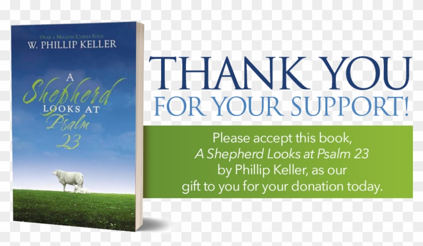 Grass Clipart #3588941