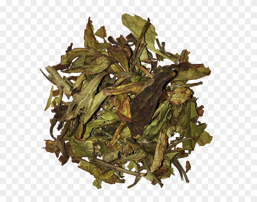 White Tea Clipart