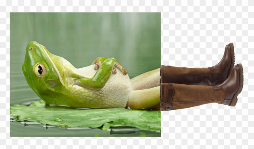 Image - Gain Confidence In Yourself Clipart #3589454