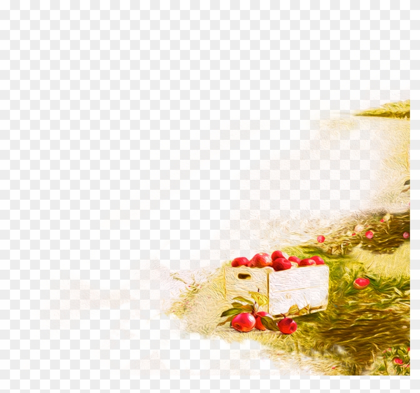 Apple Fox Clipart #3589493