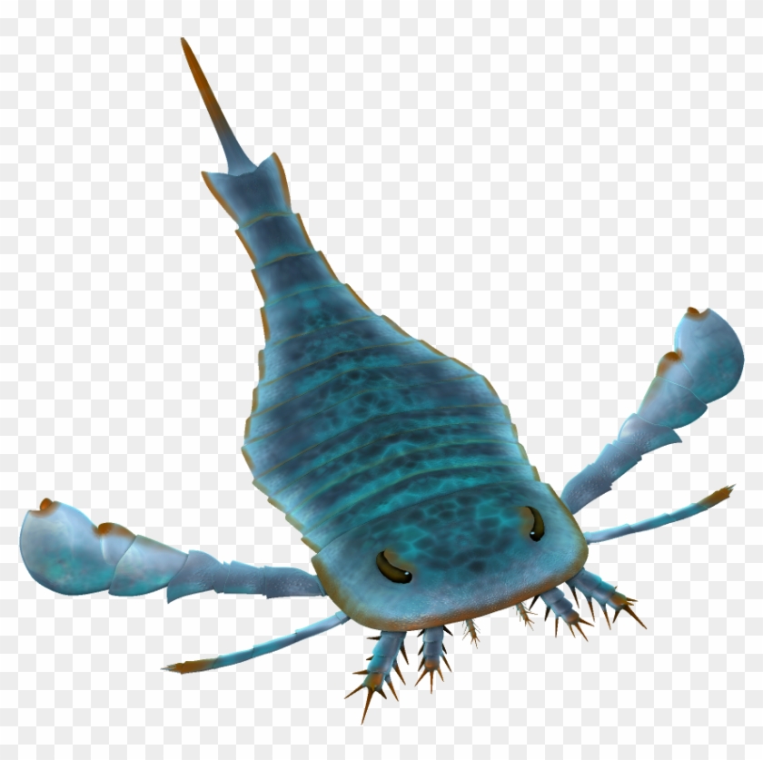Eurypterus Paleoart - Squid Clipart #3589581
