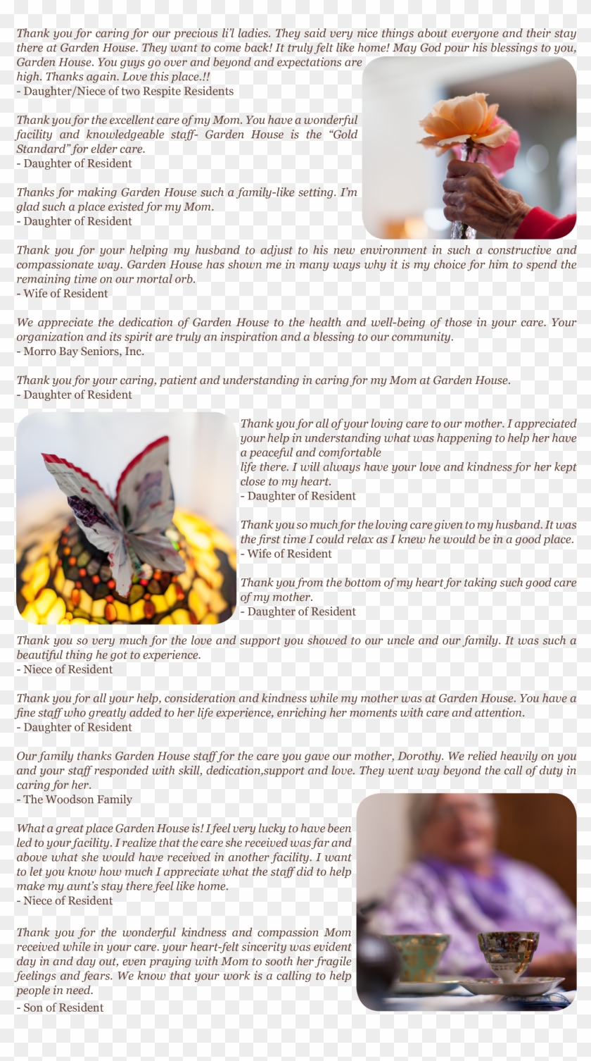 2019 Resident Calendar - Brush-footed Butterfly Clipart #3591095