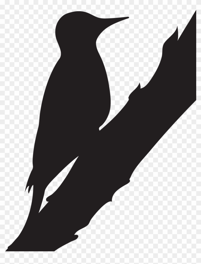 Downy Woodpecker - Black White And Red Woodpeckers Clipart #3591664