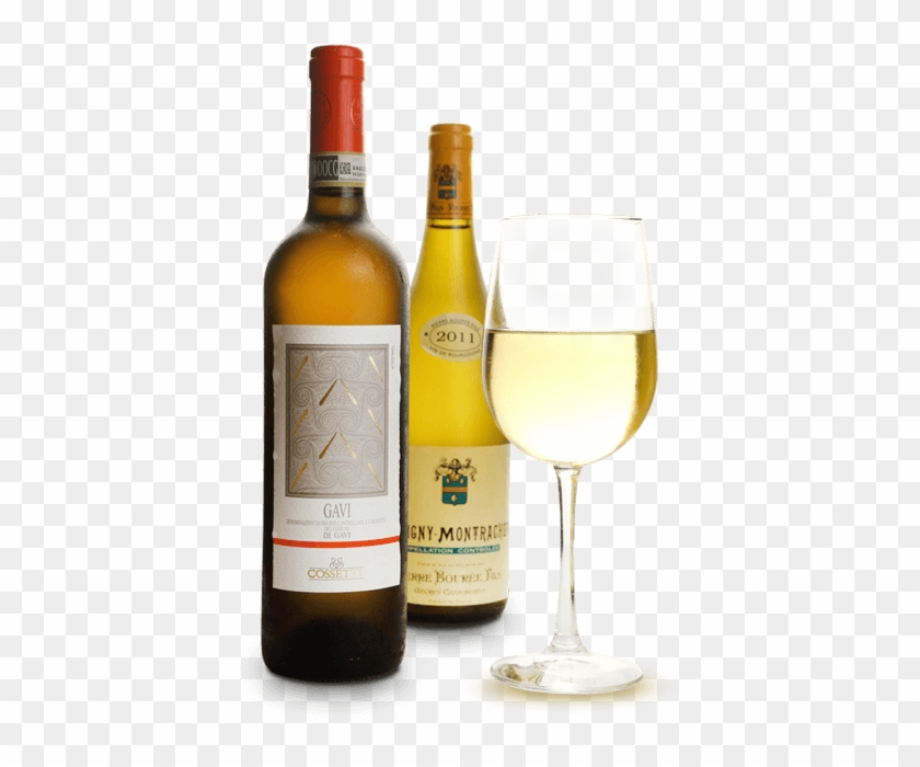 Home » Coia's Cafe - Wine Glass Clipart