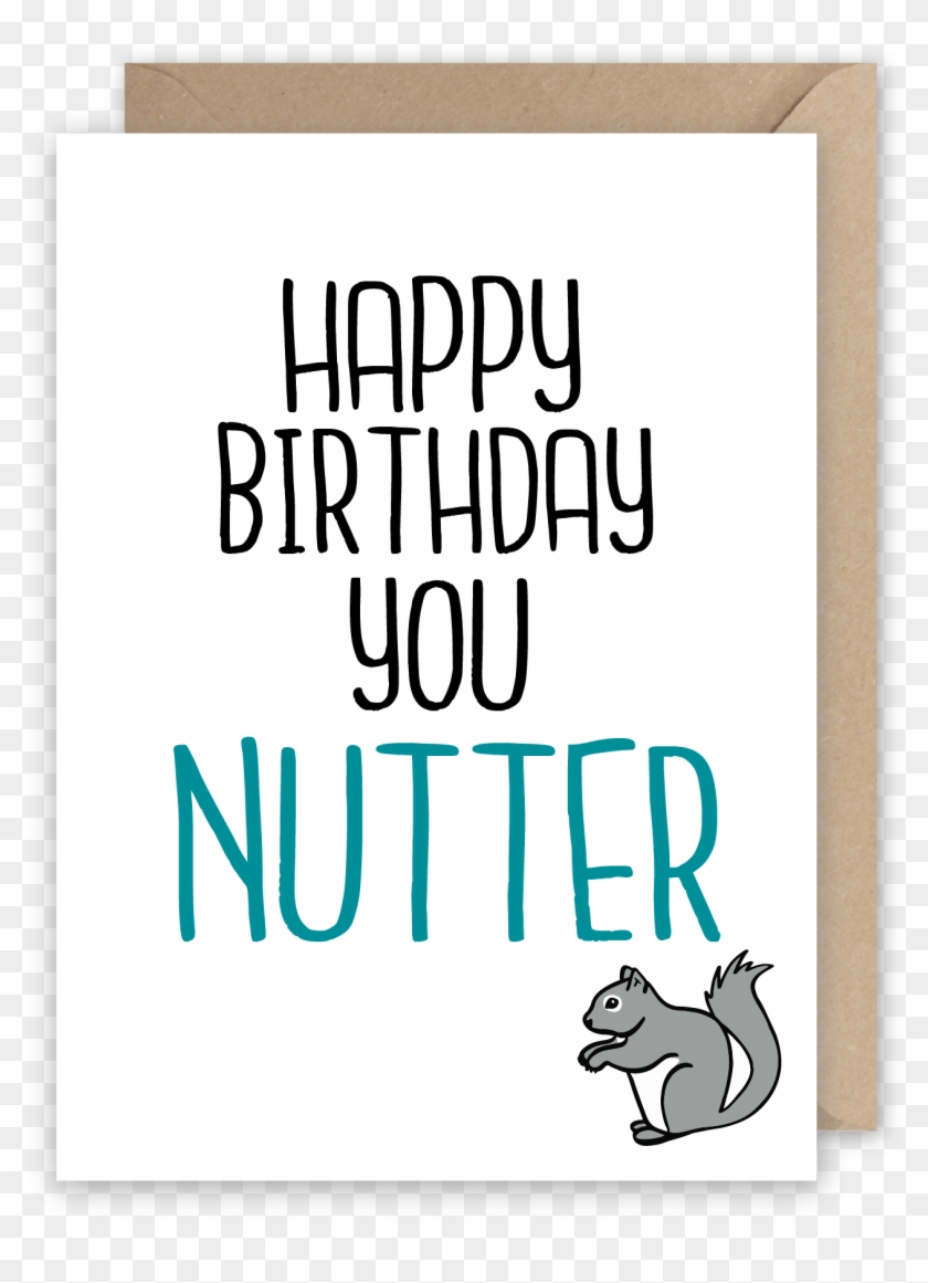 Happy Birthday You Nutter - Happy Birthday From Squad Clipart #3591984