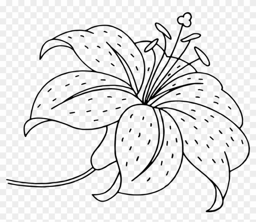 Flower Flowers Beautiful Flower Garden Flowers - Lily Clipart